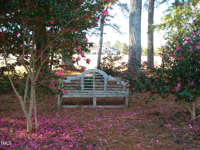 6349 Elevation Rd, Benson, NC 27504 - photo 7