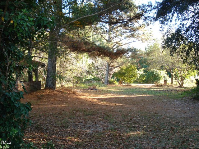 6349 Elevation Rd, Benson, NC 27504 - photo 13