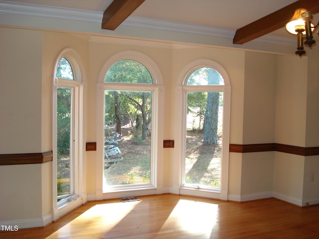 doorway to outside featuring light wood-type flooring, plenty of natural light, and beamed ceiling