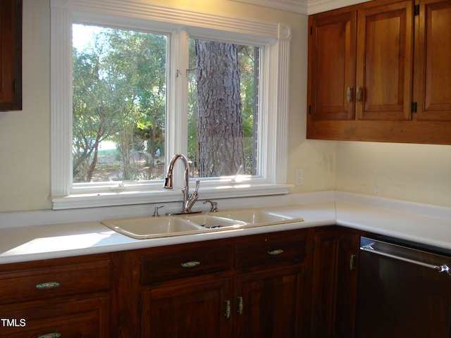 kitchen featuring a healthy amount of sunlight, stainless steel dishwasher, and sink