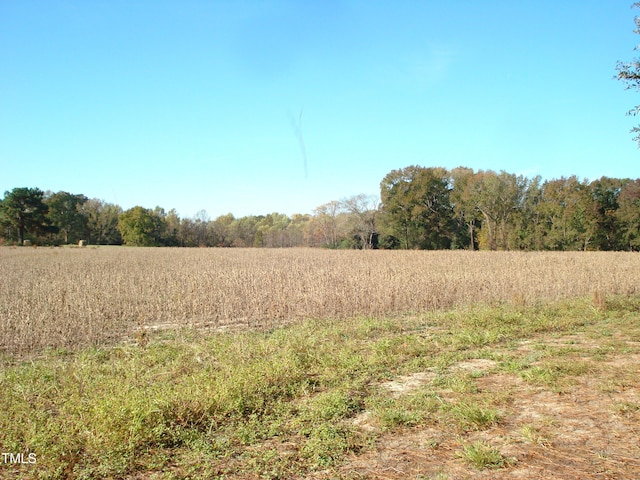 view of landscape featuring a rural view