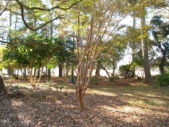 6349 Elevation Rd, Benson, NC 27504 - photo 47