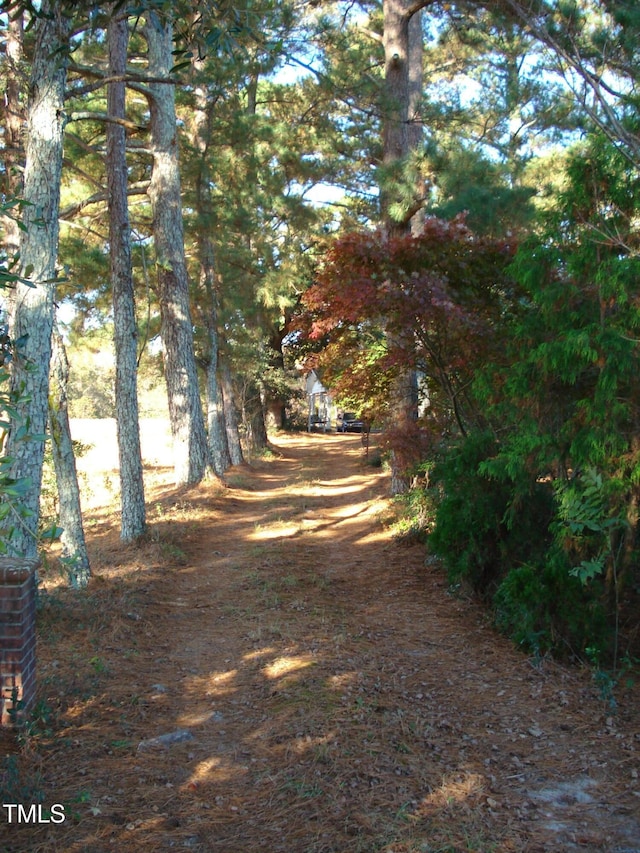 6349 Elevation Rd, Benson, NC 27504 - photo 6