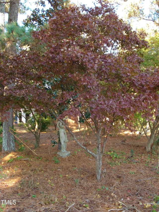 view of nature