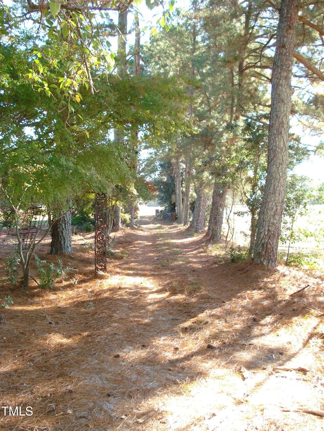 6349 Elevation Rd, Benson, NC 27504 - photo 40
