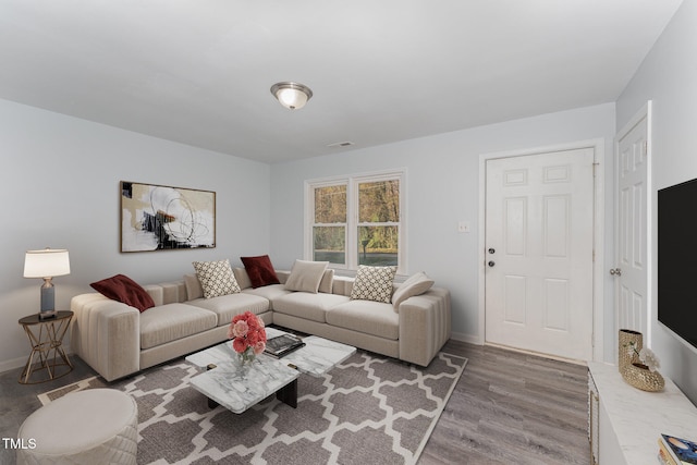 living room with hardwood / wood-style floors