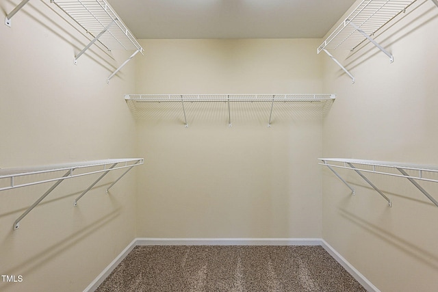 walk in closet with carpet flooring