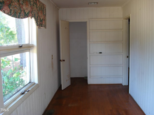 hallway featuring a wealth of natural light, wood walls, and dark hardwood / wood-style flooring