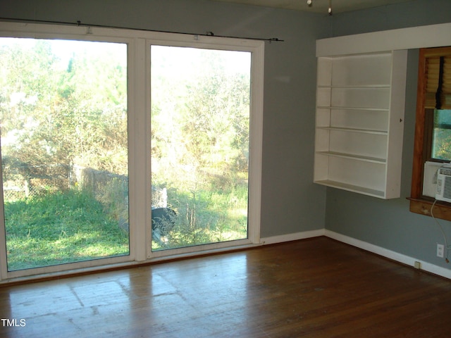 unfurnished room featuring a wealth of natural light and wood-type flooring