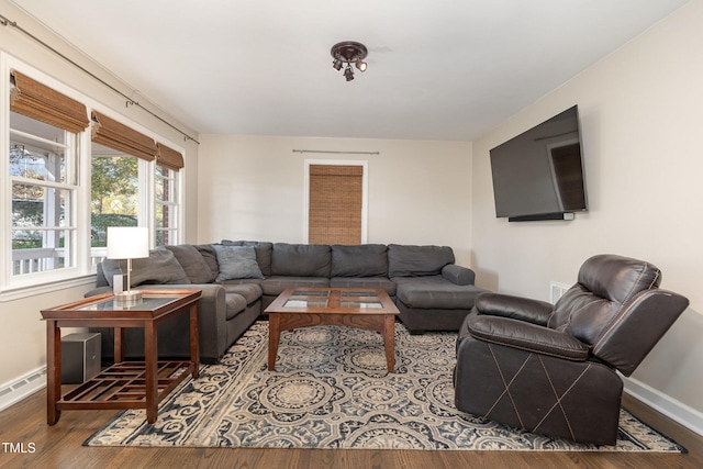 living room featuring hardwood / wood-style floors