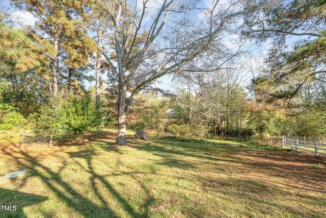 view of yard