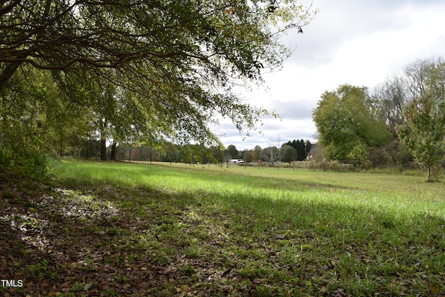 view of yard featuring a rural view