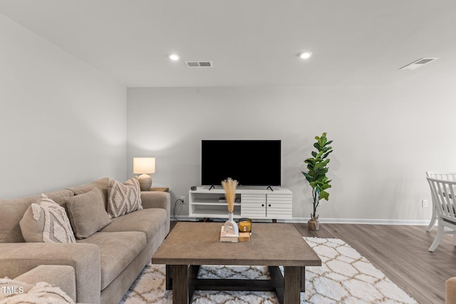 living room with wood-type flooring