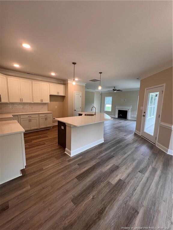 4660 Macedonia Church Rd, Fayetteville, NC 28312 - photo 5