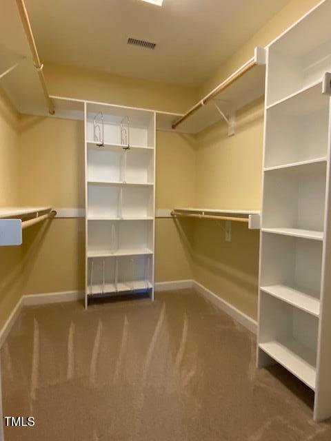 spacious closet featuring carpet flooring