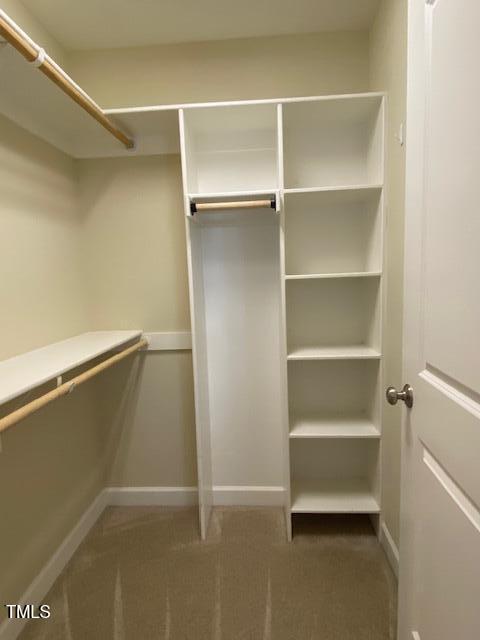 spacious closet featuring carpet floors