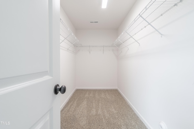 spacious closet featuring carpet