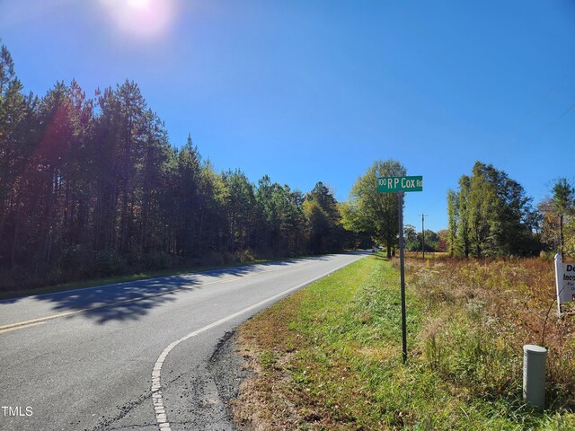 TBD Snow Camp Rd, Snow Camp, NC 27349 - photo 3