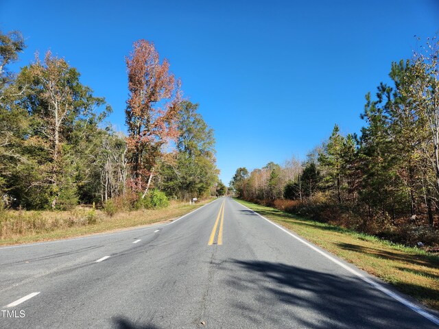 TBD Snow Camp Rd, Snow Camp, NC 27349 - photo 4