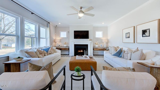 living room with ceiling fan, a healthy amount of sunlight, and ornamental molding