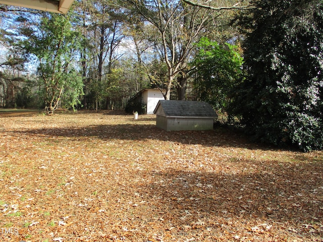 view of yard featuring a storage unit