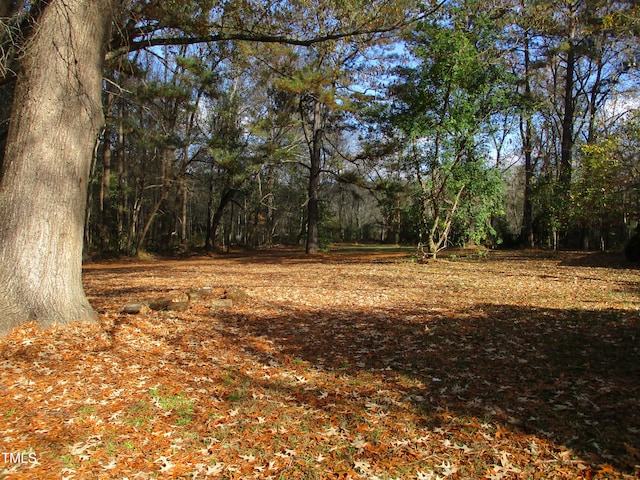 view of local wilderness