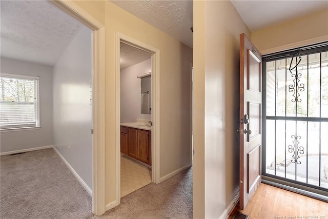 interior space featuring light carpet, a textured ceiling, and sink