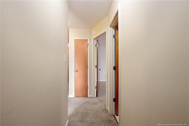 hallway featuring light colored carpet and a textured ceiling