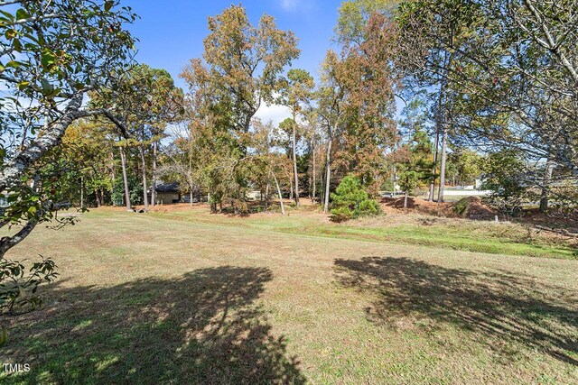 14 Stone Village Ct, Durham, NC 27704 - view of green lawn