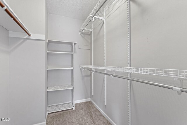 spacious closet featuring carpet flooring