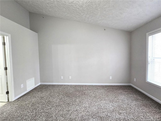 spare room featuring a healthy amount of sunlight, a textured ceiling, and carpet