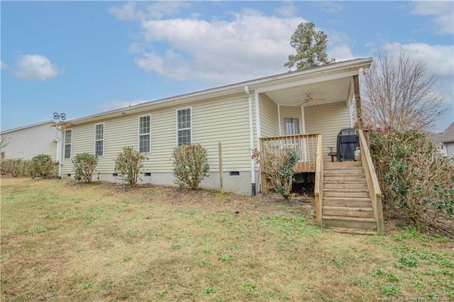 back of property featuring a yard and ceiling fan