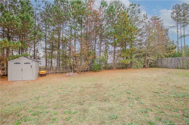 view of yard with a shed