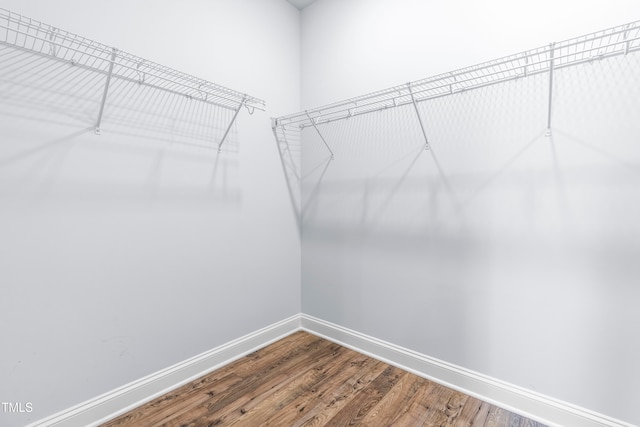 walk in closet with hardwood / wood-style flooring