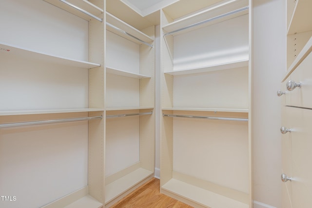 walk in closet featuring hardwood / wood-style flooring