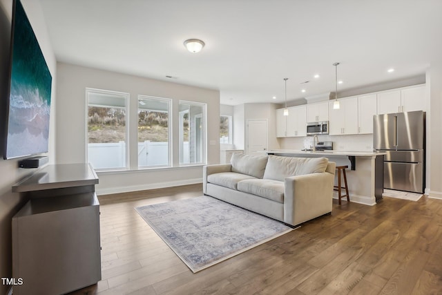 living room with dark hardwood / wood-style floors