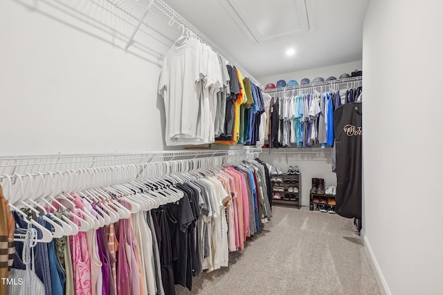 spacious closet with carpet floors