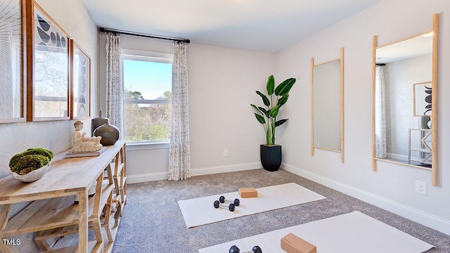 workout room featuring plenty of natural light and carpet floors