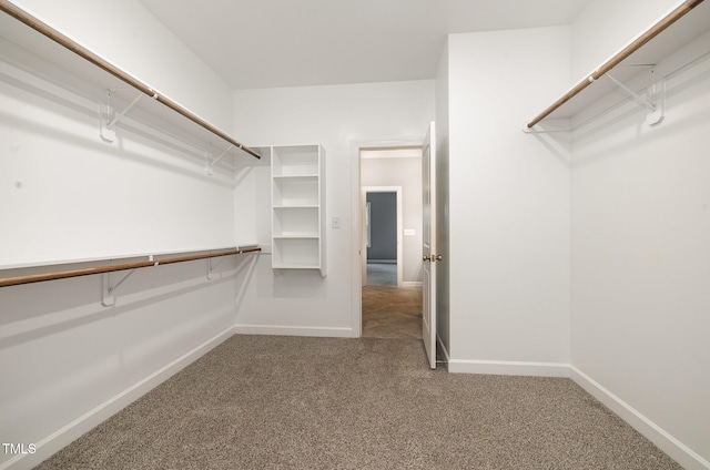 spacious closet with carpet floors