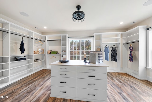 spacious closet featuring wood-type flooring