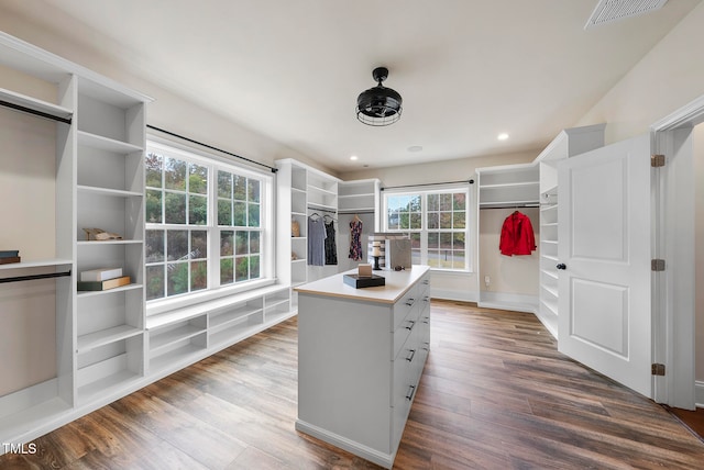 spacious closet with wood-type flooring