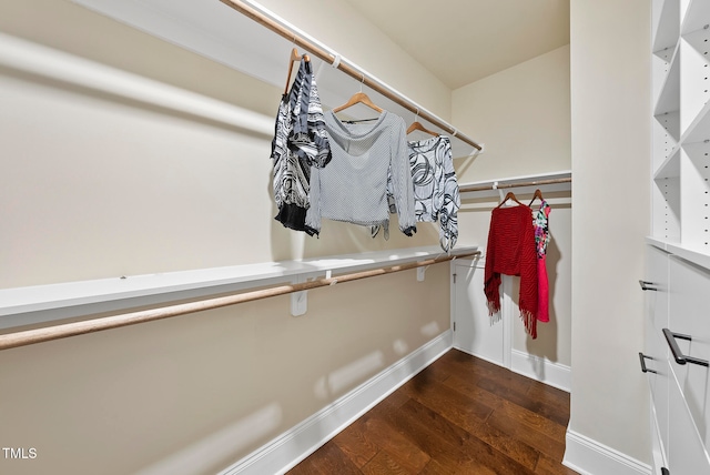 walk in closet with dark hardwood / wood-style flooring