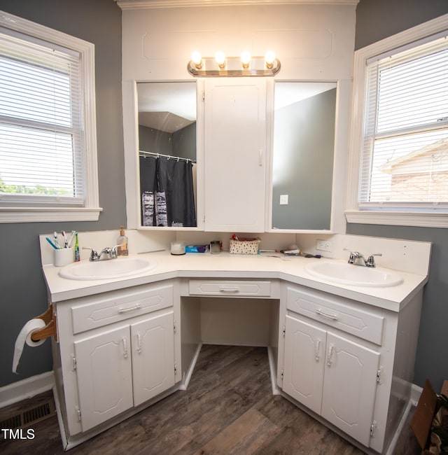 bathroom with hardwood / wood-style flooring, vanity, walk in shower, and a wealth of natural light