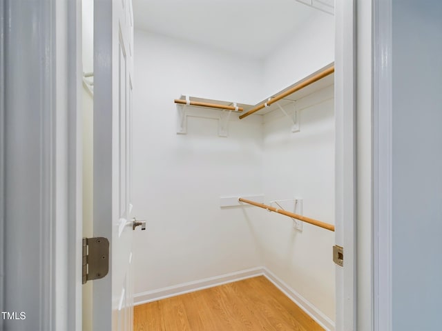 spacious closet featuring light wood-type flooring