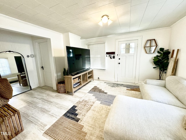 living room with crown molding