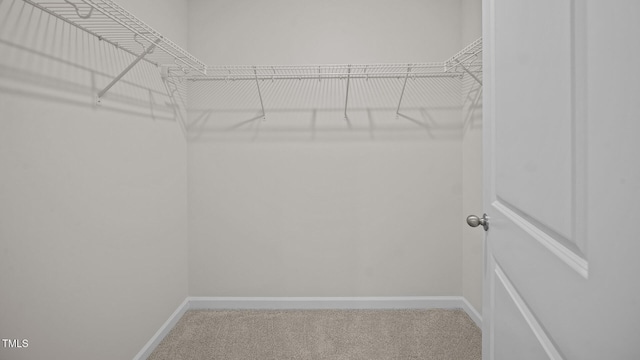 walk in closet featuring carpet