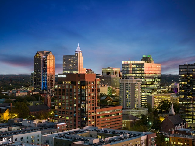 property's view of city