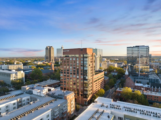 property's view of city