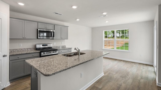 236 Holton St, Smithfield, NC 27577 - kitchen featuring stainless steel appliances, gray cabinetry, a sink, wood finished floors, and a kitchen island with sink