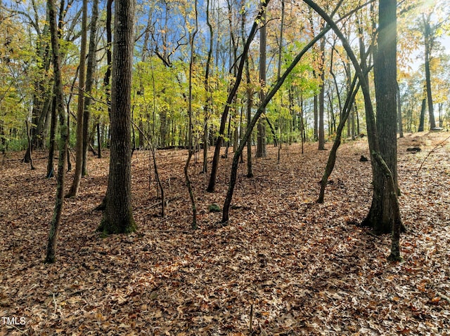 00 Hudson Hills Rd, Pittsboro, NC 27312
